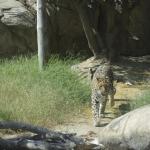 FITS_178 (May 04, 2019)